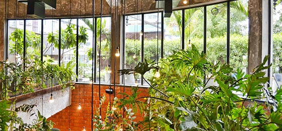 Green Transport and Logistics Sector, Uganda